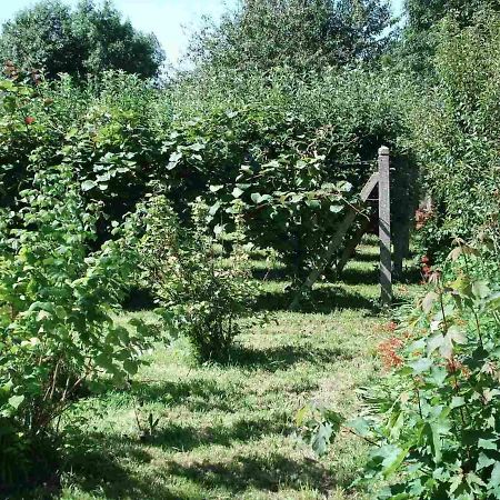La Vendelée Le Clos Des Tilleuls מראה חיצוני תמונה