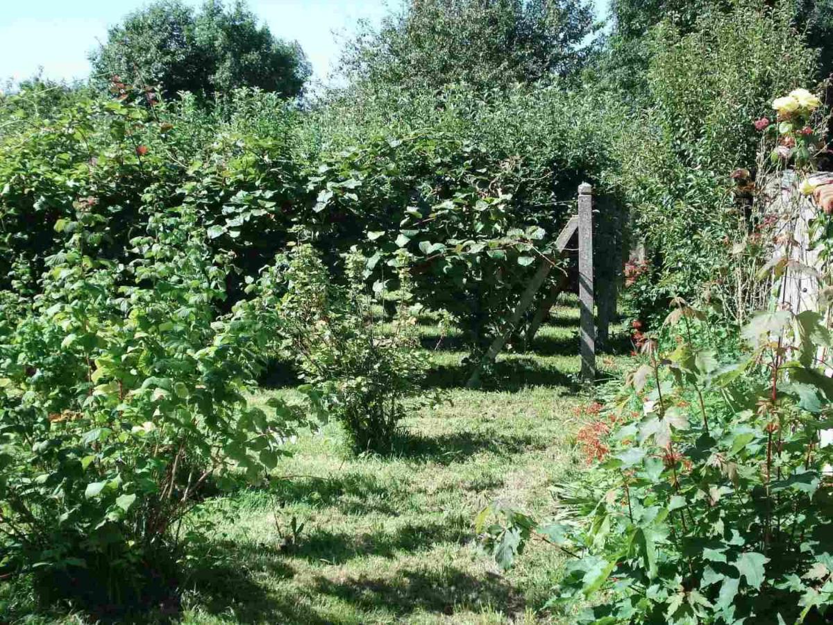 La Vendelée Le Clos Des Tilleuls מראה חיצוני תמונה